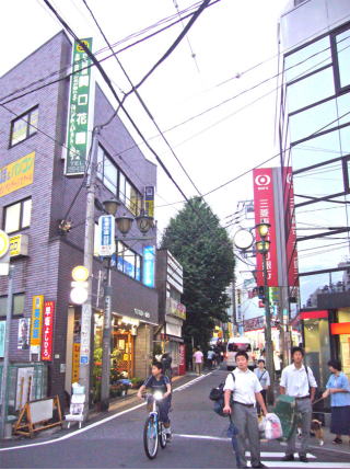 �֌��ԉ��r���ʐ^